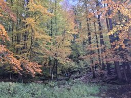 56588338212824029236876536472613059339583074n